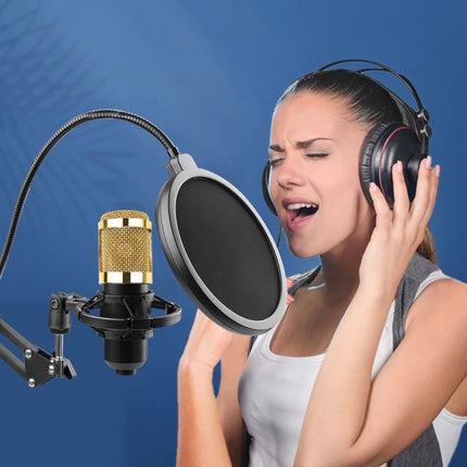 Microphone Condensateur BM-800 Filaire – Idéal pour Chant, Gaming et Enregistrement